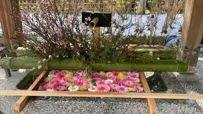 白山神社(新潟県)