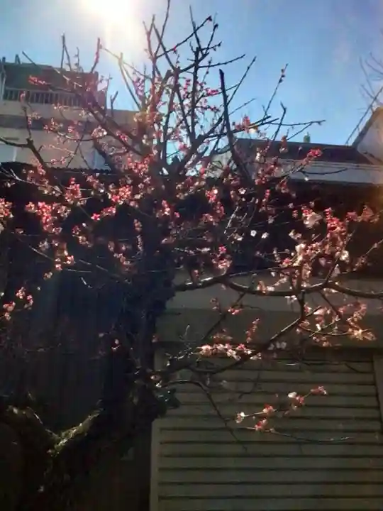 青葉台北野神社(東京都)