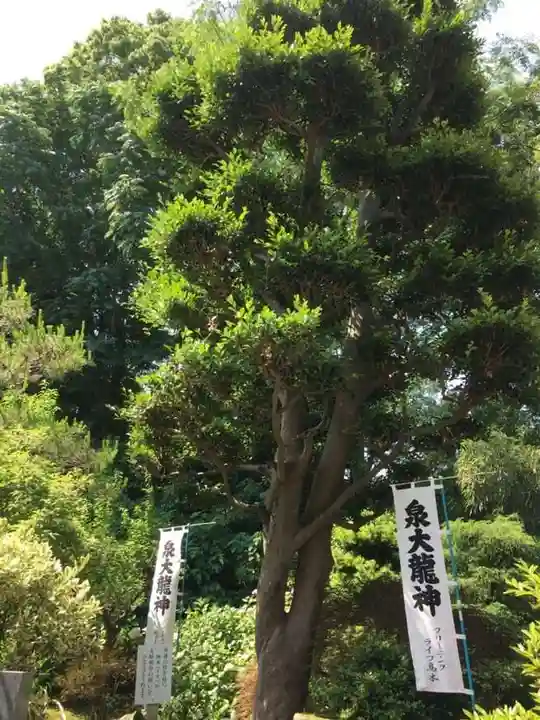 宝寿院の自然