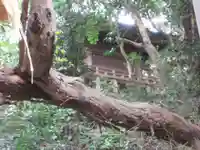 児玉神社(神奈川県)