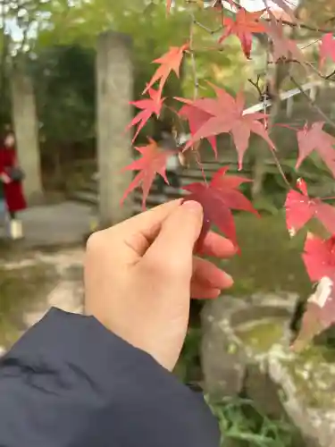 宝満宮竈門神社(福岡県)
