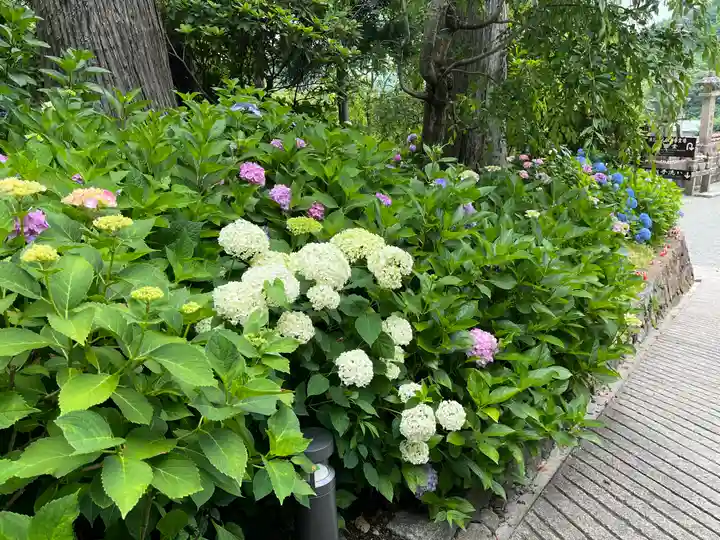 勝尾寺(大阪府)