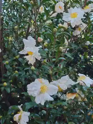 母智丘神社(東京都)