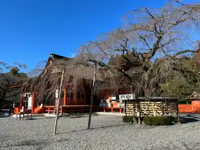 富士山本宮浅間大社(静岡県)