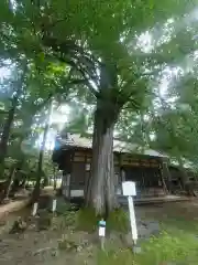 若狭姫神社（若狭彦神社下社）(福井県)