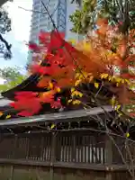 若宮八幡社の本殿・本堂