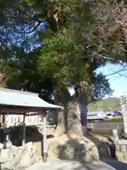 五ケ所神社(三重県)