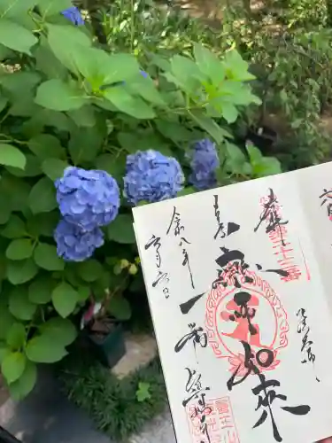 眞性寺(東京都)