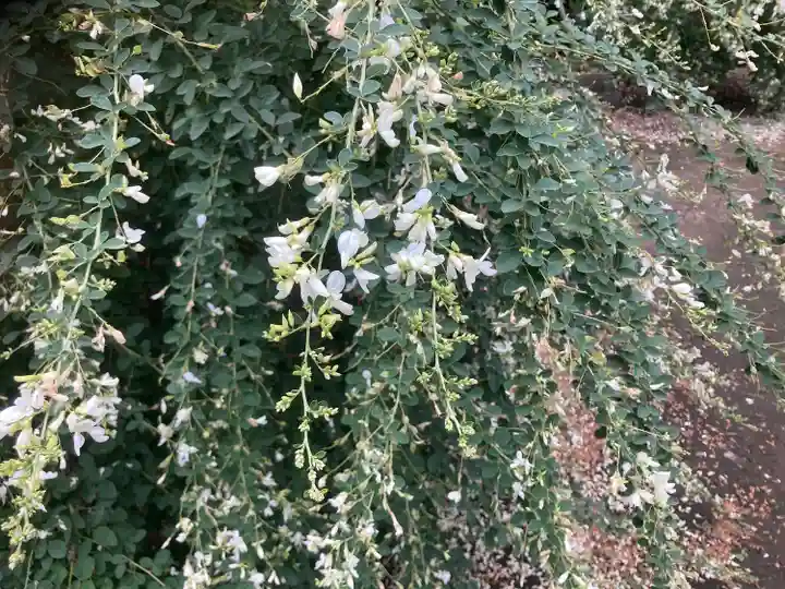 宝戒寺(神奈川県)