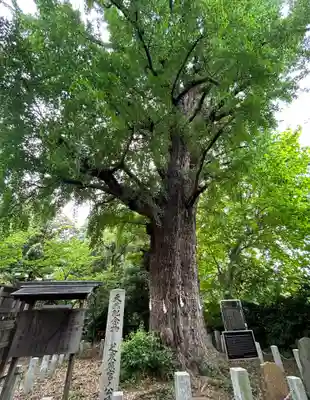 芝東照宮(東京都)