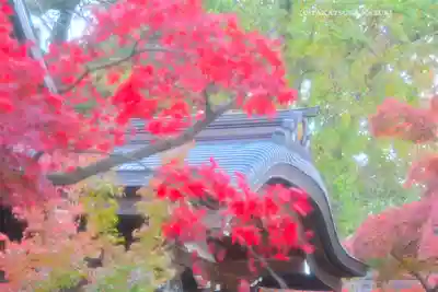 高幡不動尊　金剛寺(東京都)