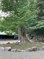 安房神社(千葉県)