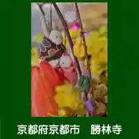 勝林寺(京都府)