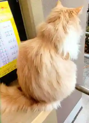 駒込妙義神社(東京都)