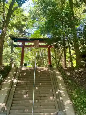 氷川女體神社(埼玉県)