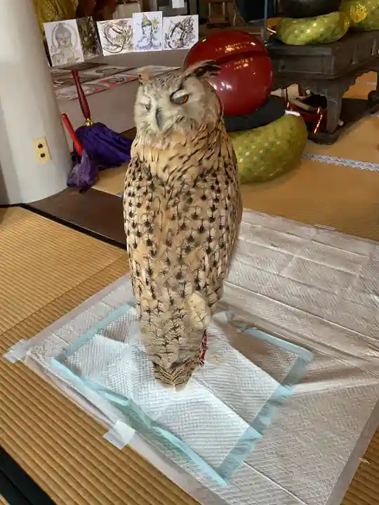 正眼寺(愛知県)