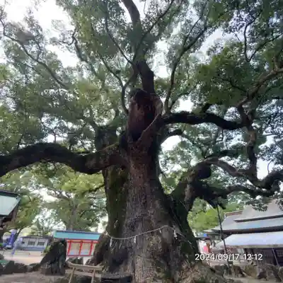 宇美八幡宮(福岡県)