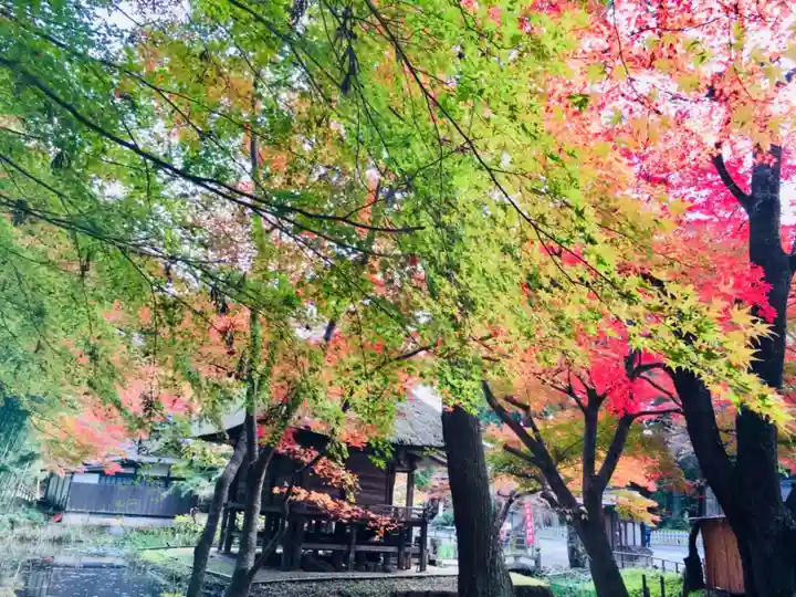 中尊寺本堂の自然
