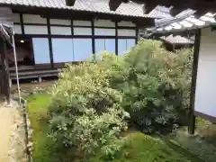 隨心院（随心院）の建物その他