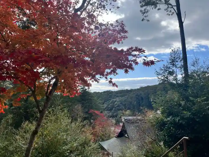 神峯山寺(大阪府)