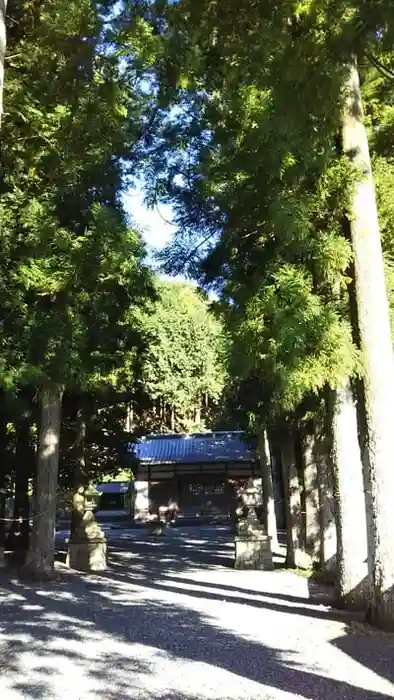 川口八幡神社の建物その他