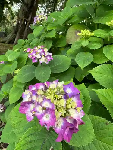 水戸八幡宮(茨城県)
