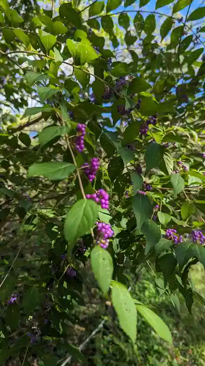平野神社(京都府)