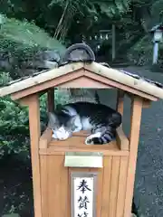 唐澤山神社の動物