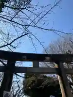 上野東照宮の{uncategorized: "未分類", other: "その他", undefined: "問題あり", building: "その他建物", grave: "お墓", sacred_gate: "鳥居", guardian: "狛犬", statue: "像", buddha: "仏像", history: "歴史", nature: "自然", garden: "庭園", animal: "動物", pagoda: "塔", temizu: "手水舎", mountain_gate: "山門・神門", sanctuary: "本殿・本堂", subordinate: "末社・摂社", art: "芸術", scenery: "景色", jizo: "地蔵", ema: "絵馬", goshuin: "御朱印", omikuji: "おみくじ", items: "授与品その他", amulet: "お守り", goshuincho: "御朱印帳", eats: "食事", festival: "お祭り", votive_dance: "神楽", shichigosan: "七五三参", wedding: "結婚式", experience: "体験その他", initially: "初詣", around: "周辺", anti_infection: "感染症対策"}