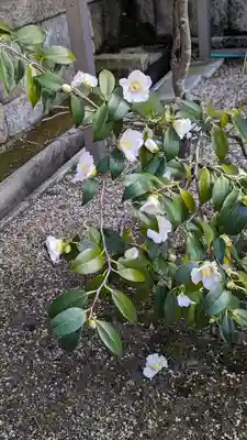 後白河院御聖蹟　法住寺(京都府)