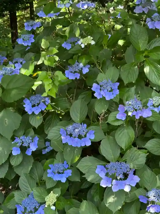 長野縣護國神社(長野県)