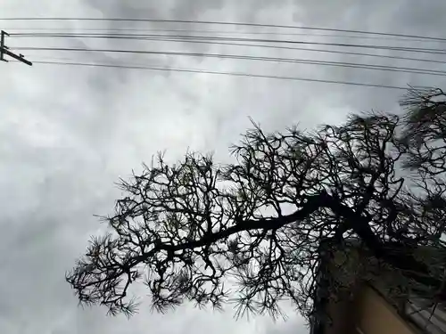 西方山極楽寺(岐阜県)