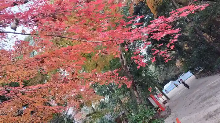 賀茂御祖神社(下鴨神社)(京都府)