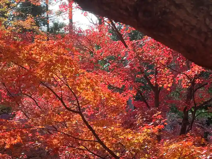 北野天満宮(京都府)