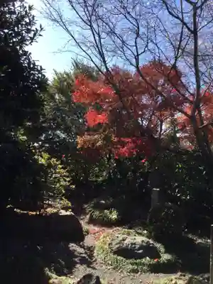 自音寺(群馬県)