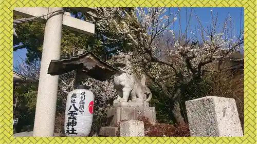 八雲神社(緑町)(栃木県)