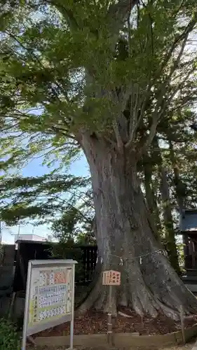 鹿島御子神社(福島県)