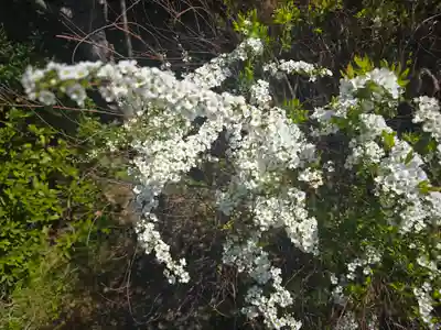小松寺(大阪府)