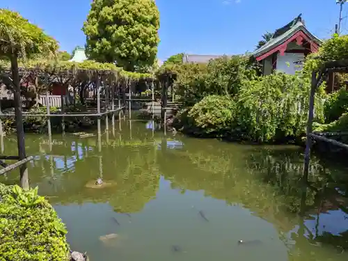 亀戸天神社の庭園