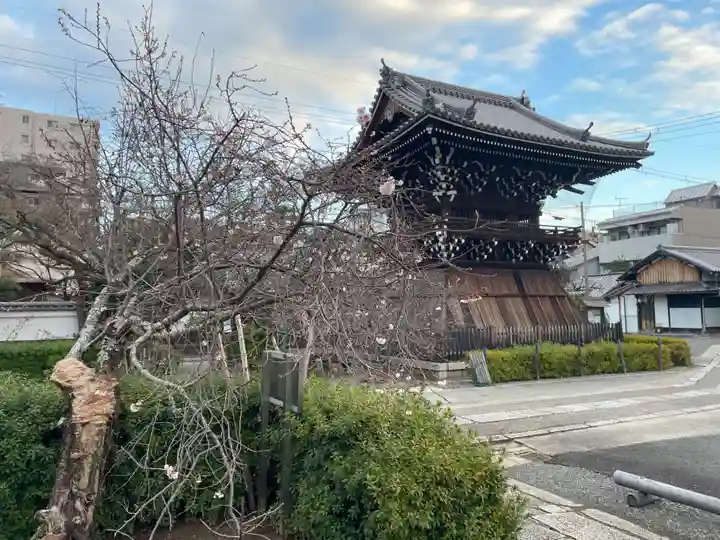 妙蓮寺(京都府)