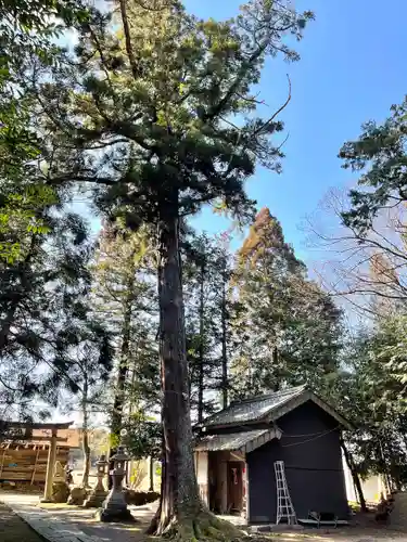 八阪神社(滋賀県)
