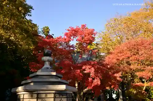 高尾山薬王院のその他建物