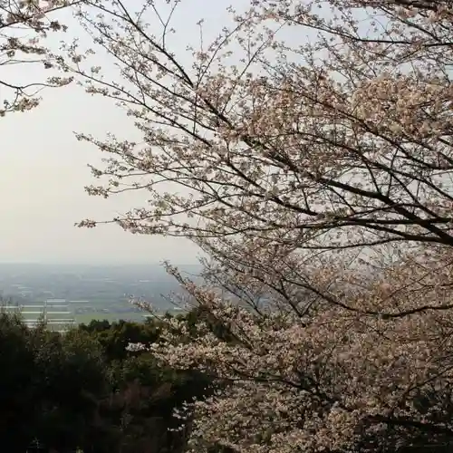 清水寺の景色