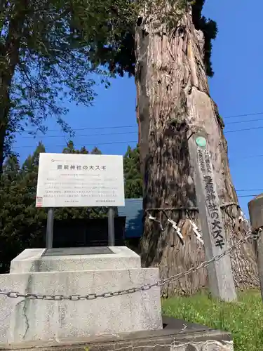 豊龍神社の御朱印