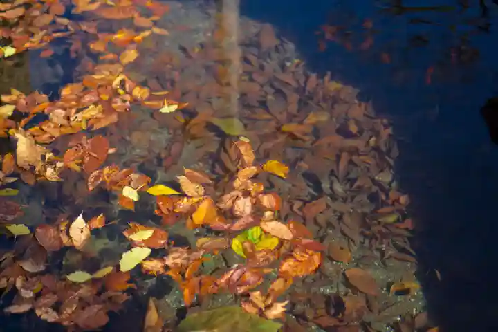 達屋酢蔵神社(長野県)