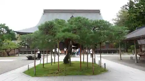 中尊寺金色堂(岩手県)