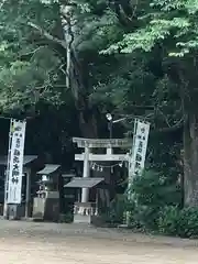 手力雄神社の鳥居