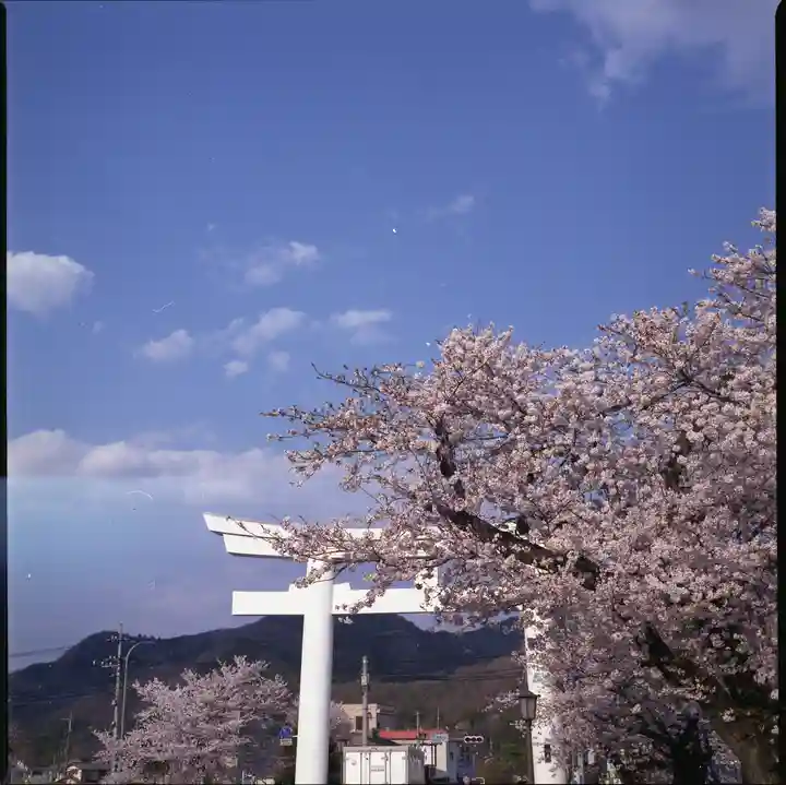 宝登山神社の景色