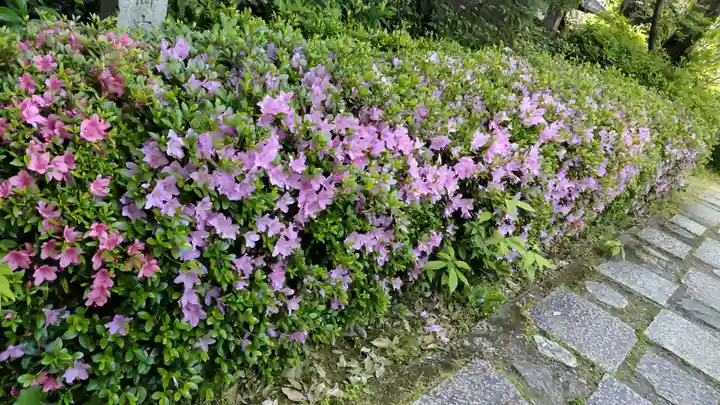 長建寺(京都府)