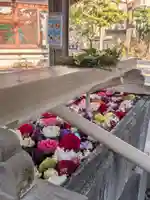 鳩森八幡神社(東京都)